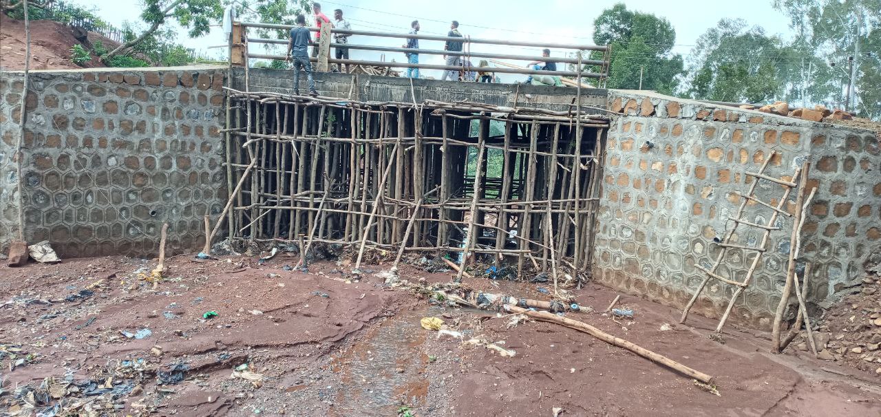 Bridge Project